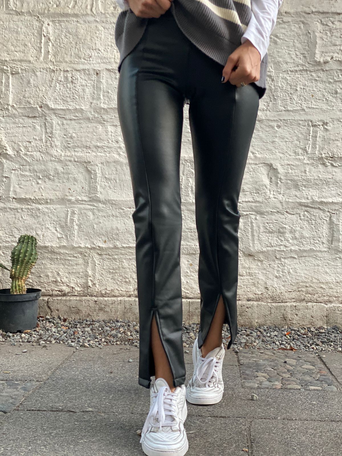 Patas Elisa Cuerina